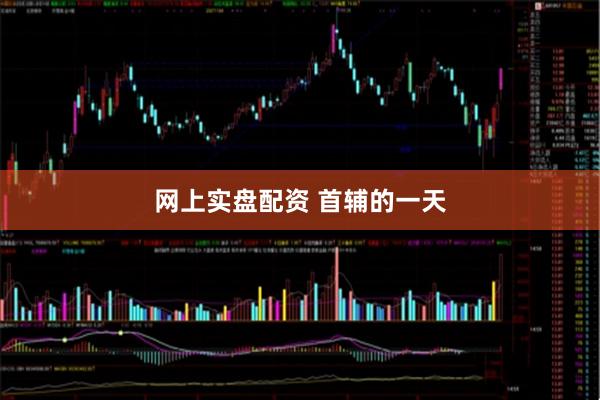 网上实盘配资 首辅的一天